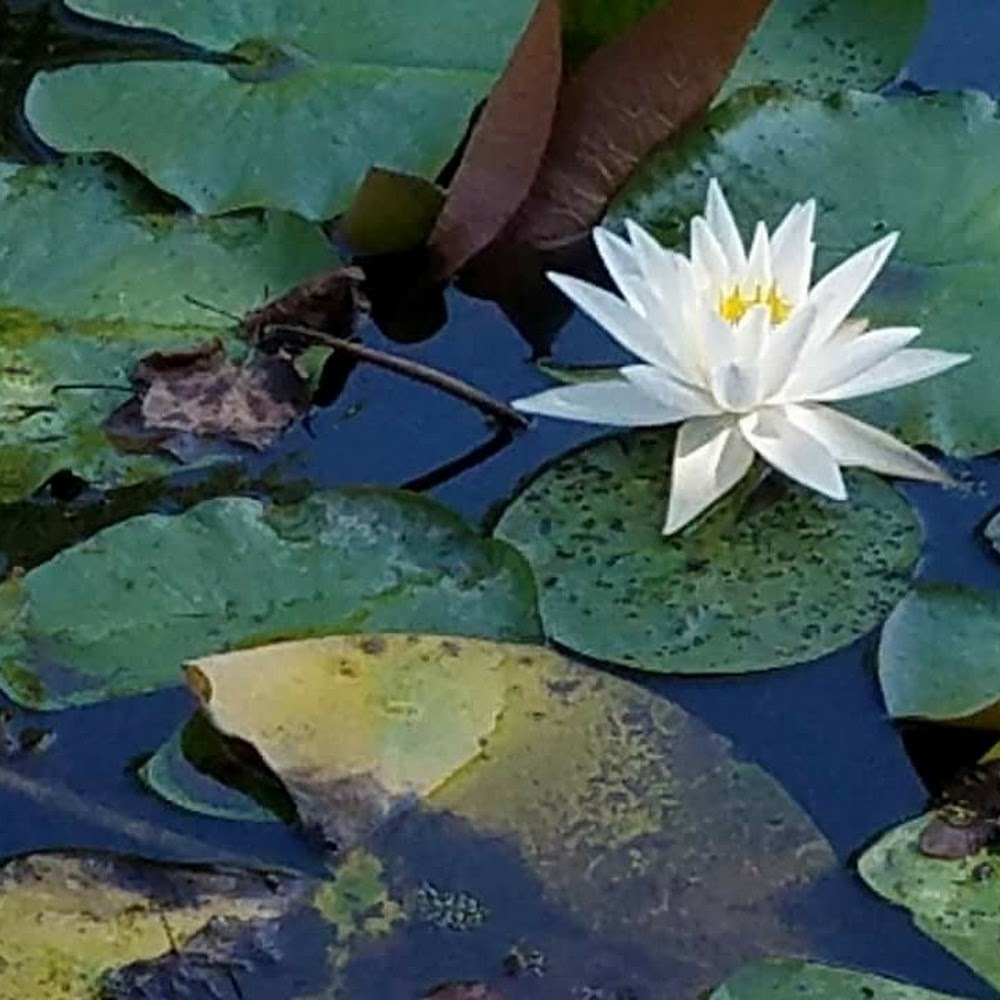 Meet your Posher, Kristi